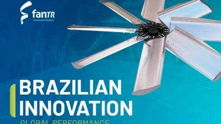 Innovación brasileña, rendimiento global