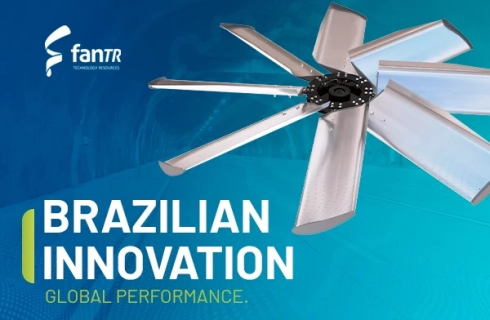 Innovación brasileña, rendimiento global