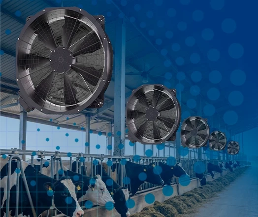 Ventiladores para Bem-Estar Animal